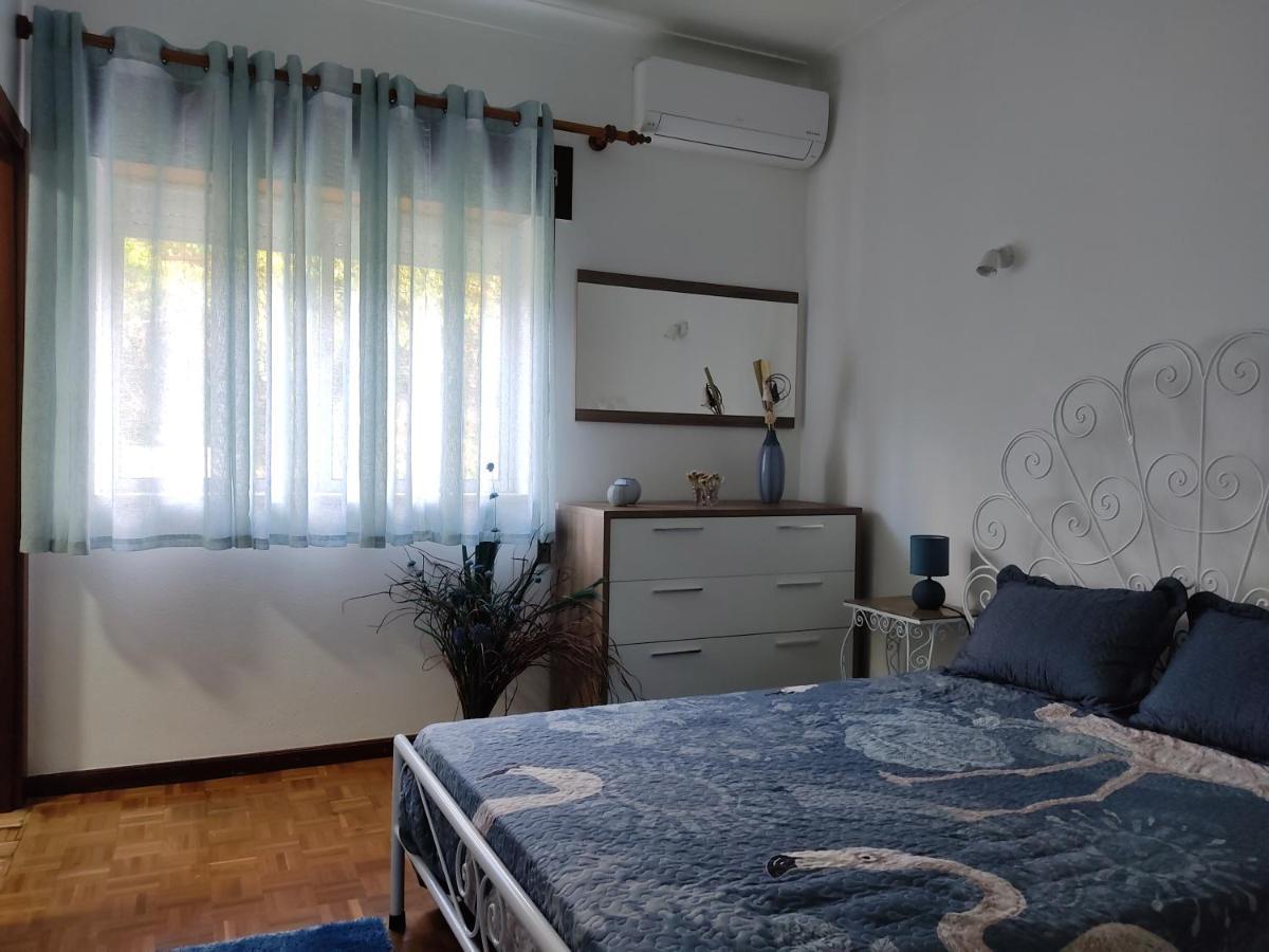 Casa Dos Avos Villa Vouzela Buitenkant foto