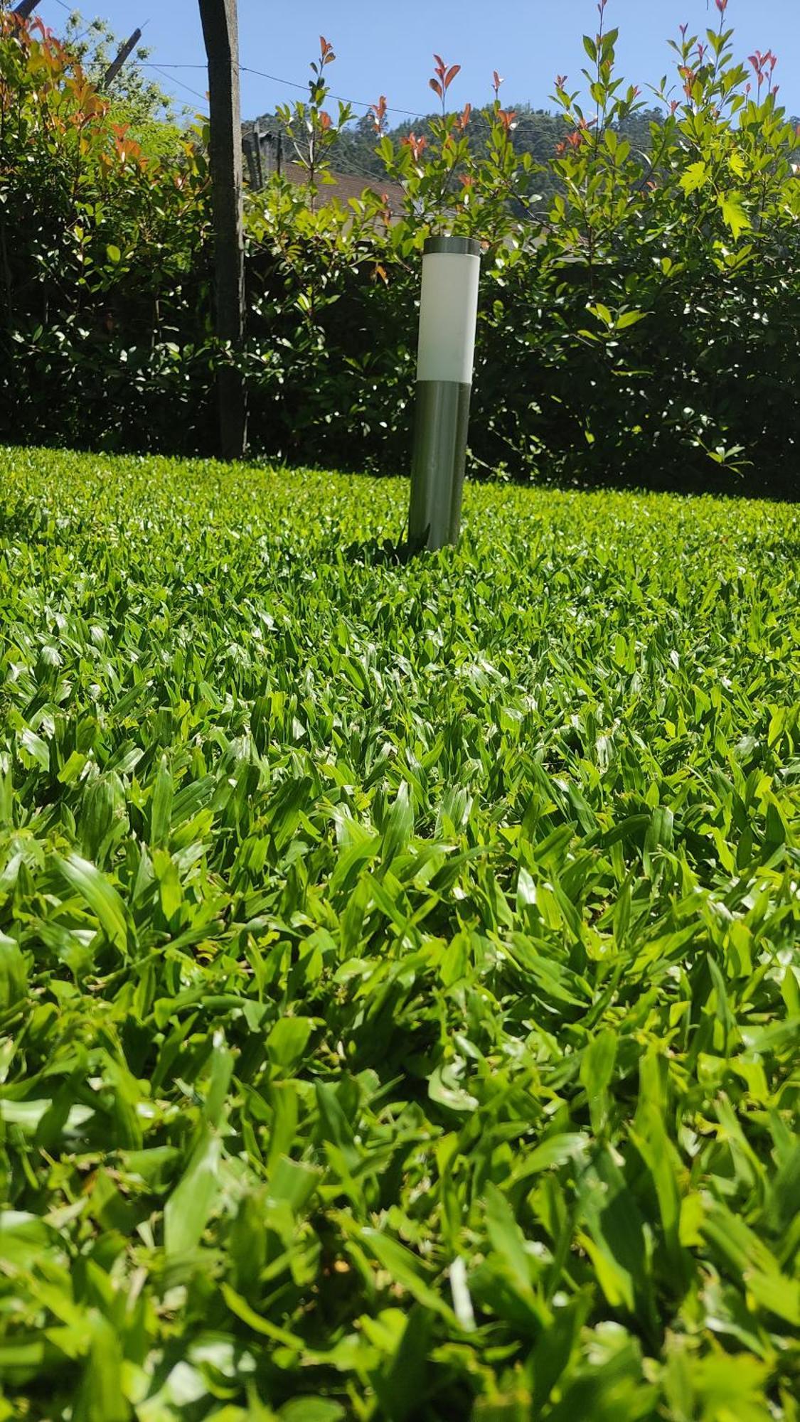 Casa Dos Avos Villa Vouzela Buitenkant foto
